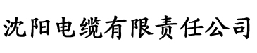 星空影院红桃视频电缆厂logo